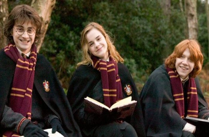 Perbedaan Antara Novel dan Film Harry Potter: Apa yang Hilang dan Ditambahkan?